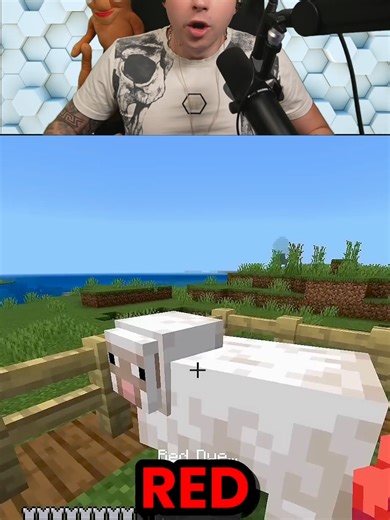 Transforma Ovejas de Minecraft: Rojo, Azul y Más