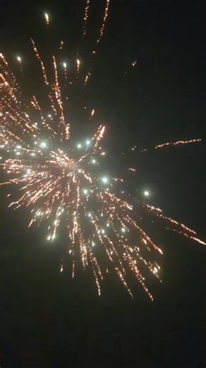 4in willow shell #fireworks #pyros #pyronation #pyroaddicts #firework