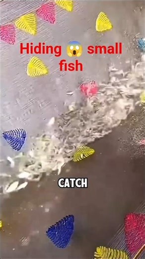 small fish and HUD || short video #fishing