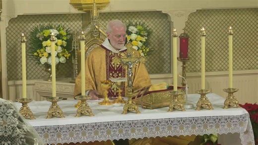 81K views · 3.6K reactions | Starting at 8 a.m. ET on EWTN: Holy Mass...