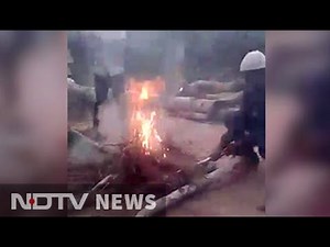 Video of boys burning puppies alive in Hyderabad sparks outrage