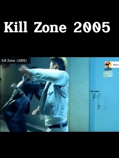 Kill Zone 2005 - Donny Yen Fight Scene