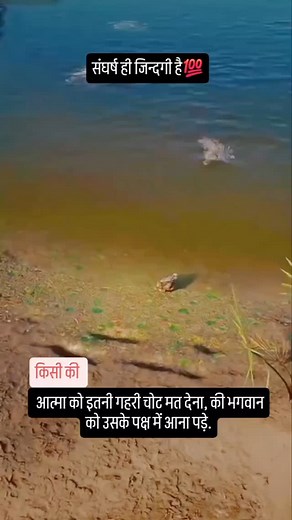 1.8K views · 4K reactions | #_____like___comment____◀️follow◀️_me____fast_❤️❤️❤️❤️蘭蘭蘭蘭✖️✖️落落落✖️✖️落落✖️✖️ #_____like___comment____◀️follow◀️_me____fast_❤️❤️❤️❤️蘭蘭蘭蘭✖️✖️落落落✖️✖️落落✖️✖️ | Amit Pal | Facebook