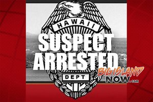 Suspect Arrested for Possession of Crystal Meth | Big Island Now