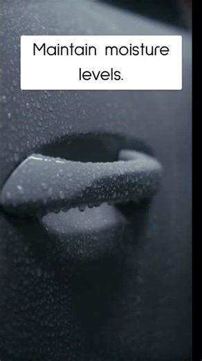 DIY Home Composting Guide