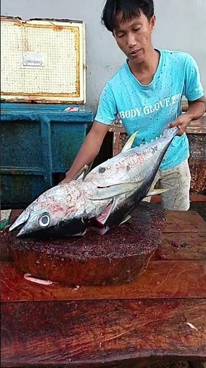 Watching this young man skillfully cut fresh tunav #tunacuttingskills #talon #fishing #fypシ゚viral