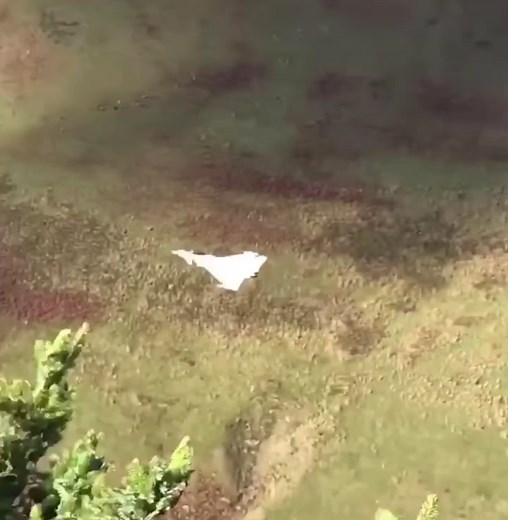 Thrilling Typhoon in the Mach Loop | Aviation Spectacle
