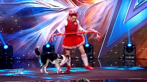 2.2K views · 10K reactions | Jennifer Fraser și Chardonnay, cățelul de Cartea Recordurilor, au cucerit în unanimitate juriul de la Românii au talent --- https://pro-link.ro/ypH Andi: „Absolut superb! Vreau să vă aduc aminte că-n sezonul 3 un dresor și câinii lui au câștigat premiul cel mare” | Romanii au talent | Facebook