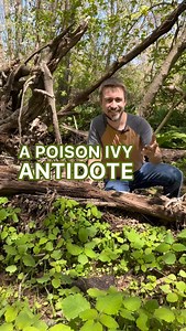 11K views · 283 reactions | Found the natural remedy for poison...