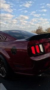 Cammed 4.6 3v. Pure Sound.