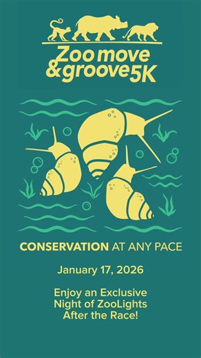 Join the Zoo Move & Groove 5K for Springsnail Conservation