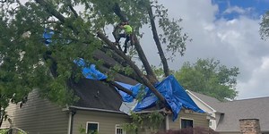 ‘It’s devastating:’ Large pecan tree collapses on Huntsville home during severe storm
