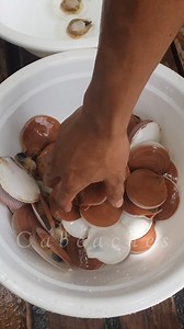 Ganyan ka din ba maglinis ng scallops? #seafood #shells #cleaning #hugas | CAbeaches