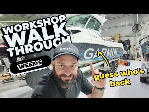 Week 5 - Weekly Workshop Walkthrough