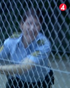 Älskar du också danska serier? Den ambitiösa polisen Anna Pihl ägnar dagarna åt att bekämpa brott i ett av Köpenhamns farligaste områden, samtidigt som hon brottas med trassliga kärleksrelationer, och livet som ensamstående mamma. Streama alla säsonger av den klassiska, danska succéserien Anna Pihl - nu på TV4 Play. | TV4
