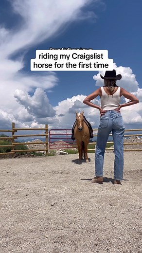 Riding My Craigslist Horse: Colt Starting Adventure