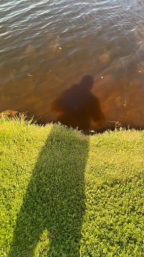 8K views · 99 reactions | Bass are cool. | Addicted Fishing | Facebook