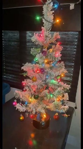 Setting up our RV sized Christmas Tree 🎄