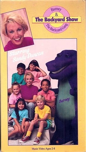 Barney & The Backyard Gang - The Hokey Pokey (Instrumental)