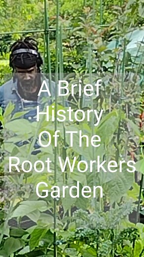A Brief History Of Root Work And Freedom Gardening #rootworkersoftiktok #rootworker #hoodoo #hoodoohistory #hoodoogarden #hoodootiktok #hoodoopractitioner #freedom #religion #spirituality
