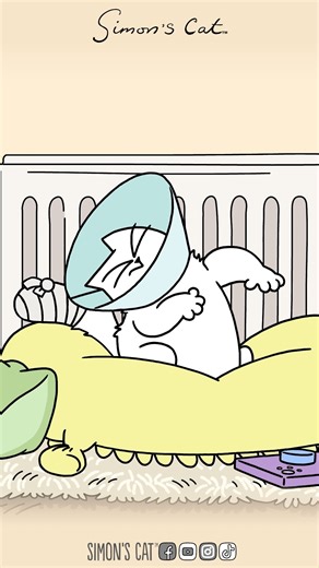 I have created a monster...Simon's Cat Back at the Vet he goes. Watch our colour special here: https://www.youtube.com/watch?v=EFmzBoX7bqc 🤒 | Simon's Cat