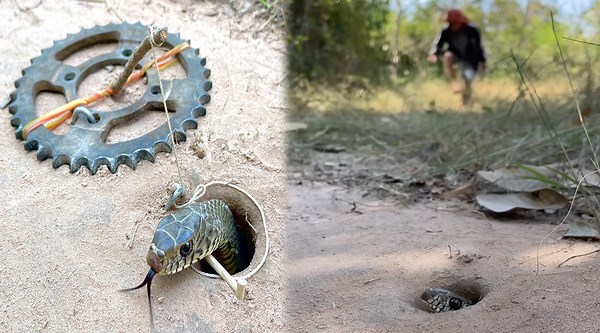 Master the Art of Trapping Snakes with Pots