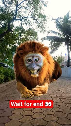 lion tutorial filter #tutorialfilter #shortsfeed