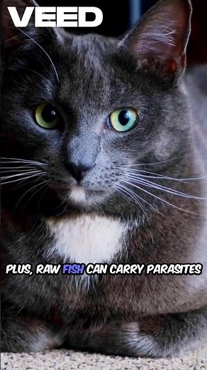 Can Cats Eat Raw Fish?! 🐟
