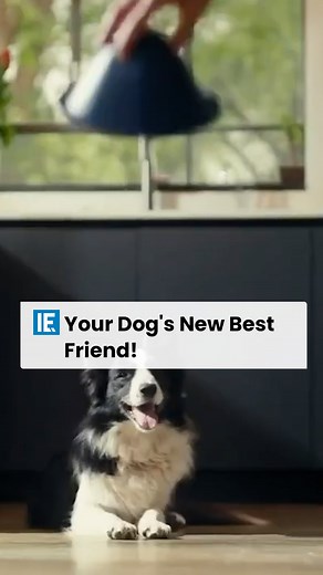 Is your dog ready for a game that offers more than just fetching? Experience playtime like never before, where each chase ends with a treat that's as rewarding as the pursuit! #engineering | Interesting Engineering