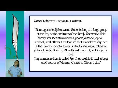 Pagsasaling Teknikal (Introduksyon sa Pagsasalin)