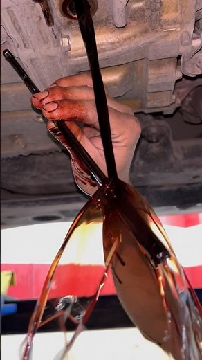 Toyota Avalon transmission oil change #automobile #viralvideo #mechanic #tipsandtricks #diy