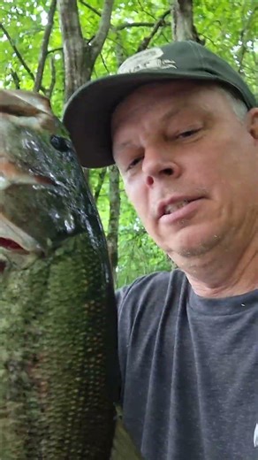 In God fishing caught a Largemouth Black Bass at a swamp near Altoona Alabama #fishing #bass