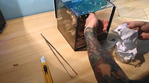 Unpacking 10x Poecilotheria ornata L1 od Pan Blady !