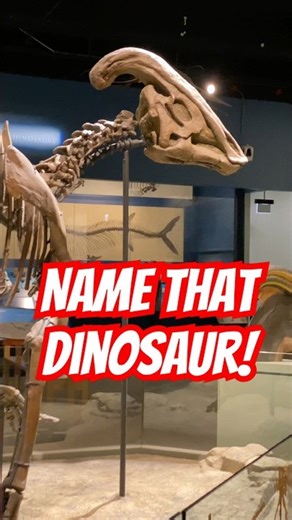 Wait for the baby! ‪@TheFieldMuseum‬