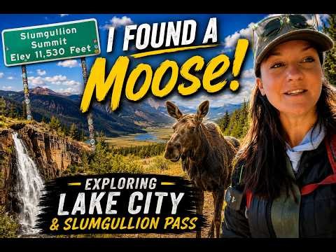 I Found a Moose! Exploring Lake City & Slumgullion Pass