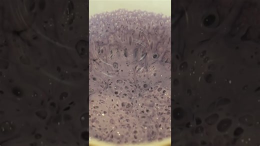 How silicone reacts when placed inside a vacuum chamber