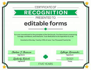 Girl Scout Certificate of Recognition | PDF Template - Etsy