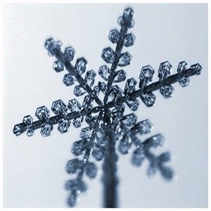 76 reactions | Hello snow! Winter has finally arrived so here is a...