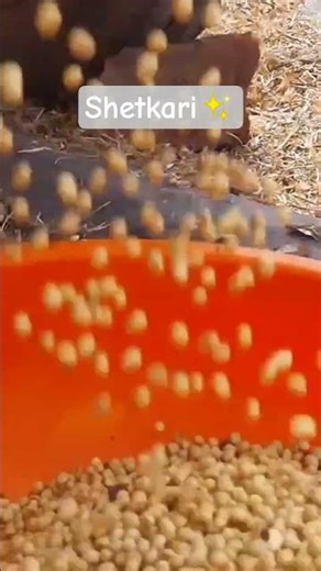 🚀🔥#shetkaripor#shetkari#support#viral#trending#farmwork#youtubeshorts#likeformore#success
