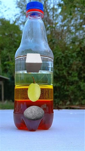 Floating Test in 4 Liquid Layers Bottle #shorts #ytshorts