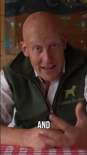 Labrador vs. Springer Spaniel vs. Cocker