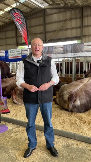 Dubbo Showground cattle events 2026: Shorthorn, Limousin, Hereford shows