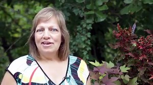 Julia Cannon Soul Speak on Dolores Cannon's CONVOLUTED UNIVERSE: BOOK FIVE, the latest book in the groundbreaking Convoluted Universe series, with information discovered during thousands of healing and past life regression sessions using her unique QHHT method of hypnosis she developed over four decades. For Dolores's books, CDs and DVDs visit Ozark Mountain Publishing: https://www.ozarkmt.com/authors/dolores-cannon. | QHHT