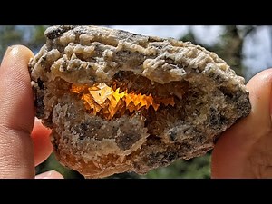 You DO NOT Want to Miss this EPIC Fossil Hunting and Crystal Hunting Adventure! Florida Rockhounding