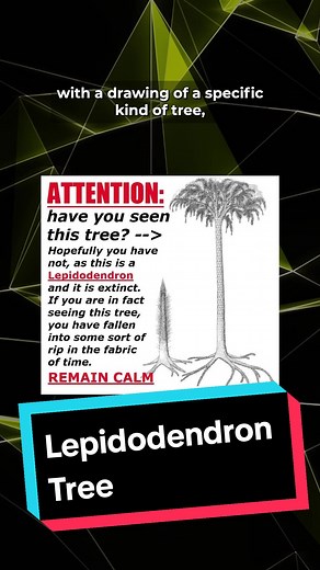 Understanding the Lepidodendron Tree Meme Phenomenon