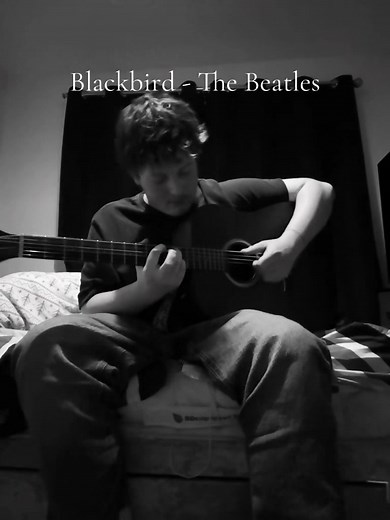 Blackbird by The Beatles: Acoustic Cover Performance