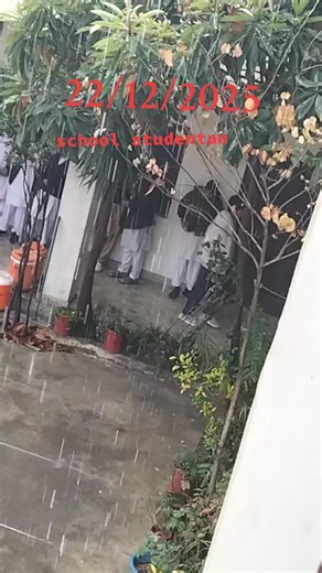 School Life Insights: Navigating Student Relationships