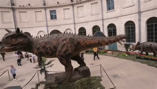 🦖 Les Dinosaures arrivent chez vous à VILLEDIEU LES POELES !! 📍 Salle des fêtes - 50800 Villedieu-les-Poêles 📆 Du 18 au 19 Octobre 2025 🕙 Ouvert de 10h à 12h et de 14h à 18h 💚 Entrée 10€ / GRATUIT pour les -3 ans L'exposition Découverte des Géants de la Préhistoire vous promet une expérience incroyable pour toute la famille ! 🌍✨ 🔹 Des répliques à taille réelle de vos dinos préférés 🔹 Des animations interactives pour petits et grands 🔹 Découvrez des fossiles rares et apprenez tous les se
