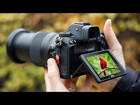 5 Best Zoom Cameras 2025 | Top Long-Range Cameras