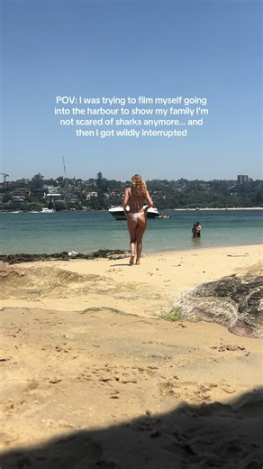 Hilarious Seagull Interrupts Sydney Harbour Adventure